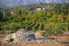 konavle