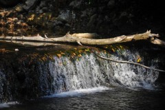 konavle__