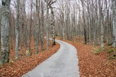 Fenomen-Plitvice-Site-Inspections-Nov2019-1