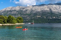 IMG_4427