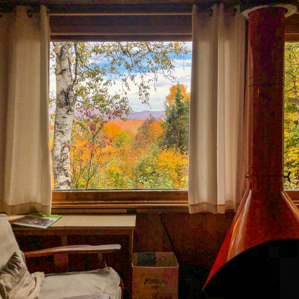 Fall colors are seen outside the window