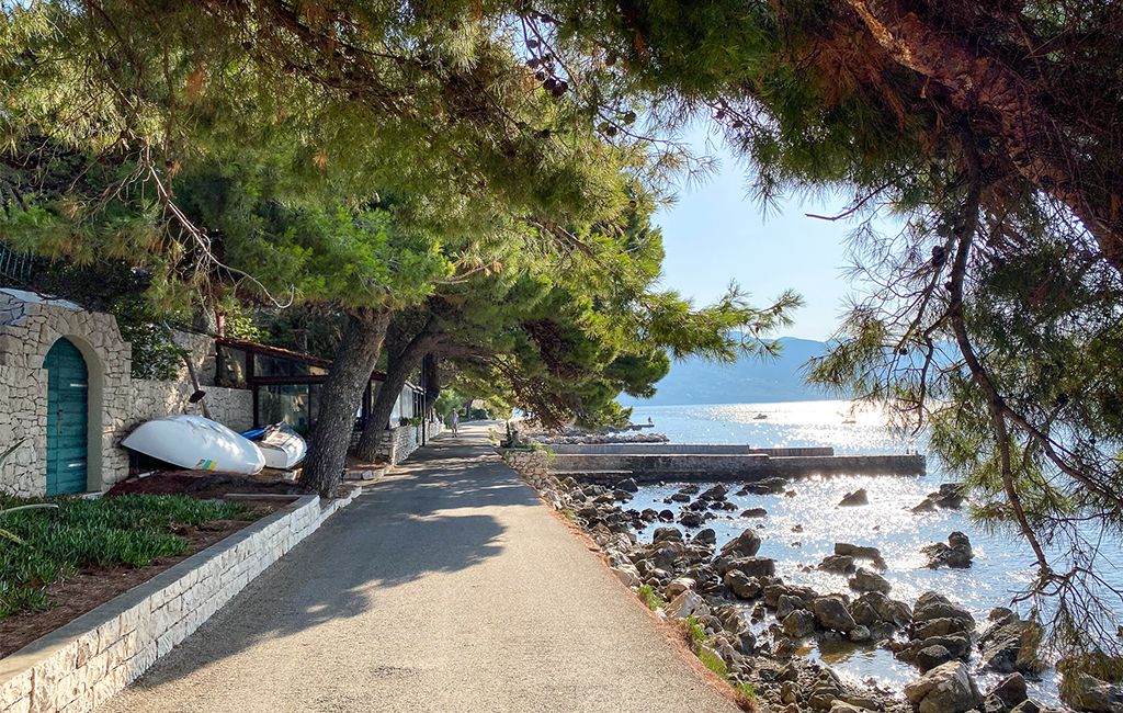 A seaside path in the town of Orebic, Croatia, shaded by pine trees. 